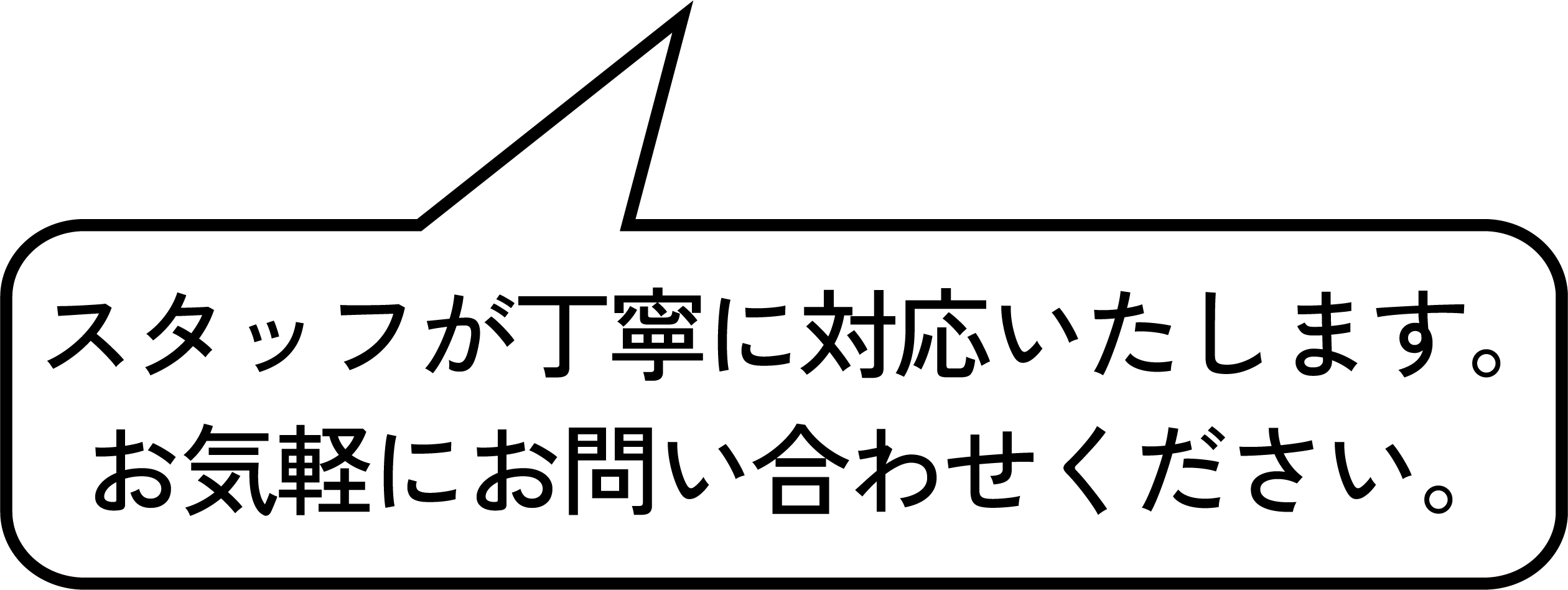 スタッフコメント